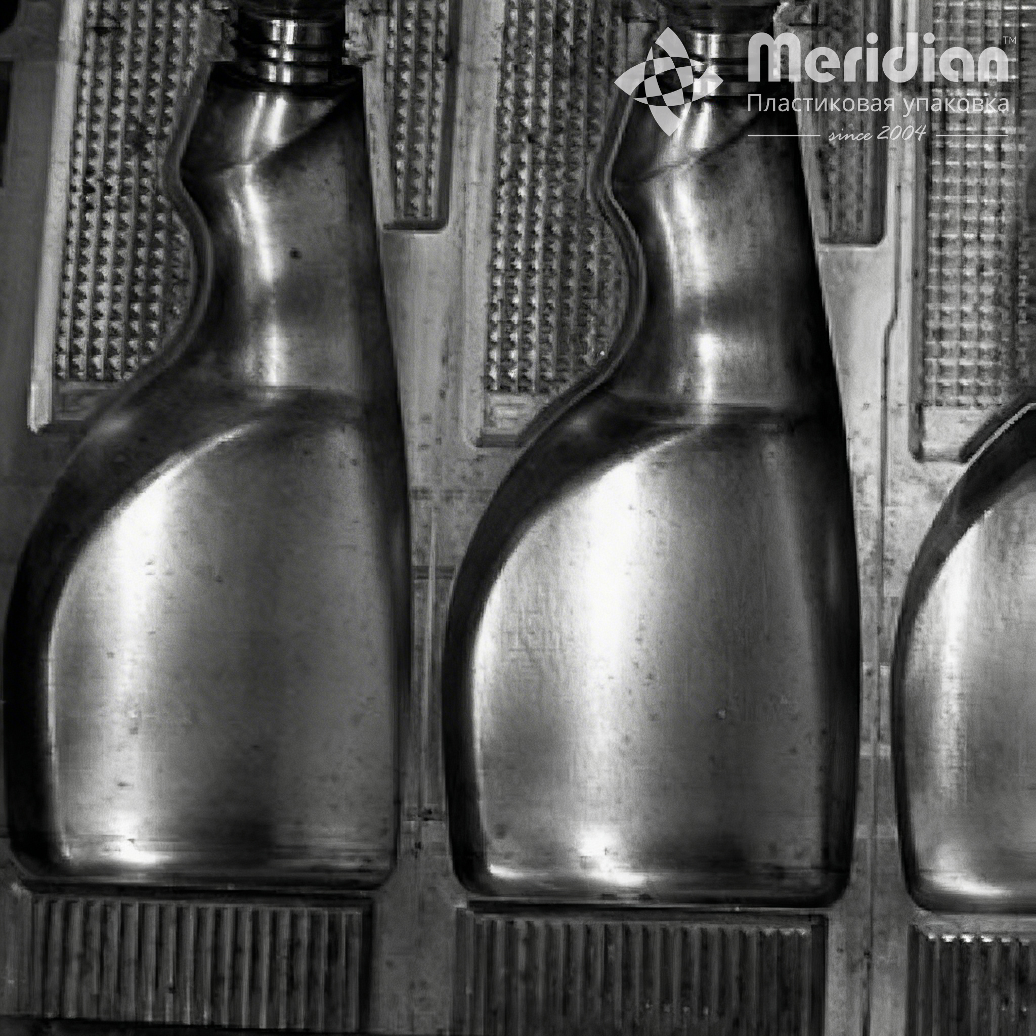 Пресс-форма выдувная 3-ех местная “Атлет-500” - 2